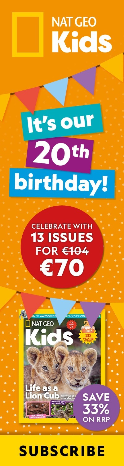 IE: 20th Birthday Sale – LHB