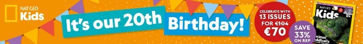 IE: 20th Birthday Sale – Leaderboard