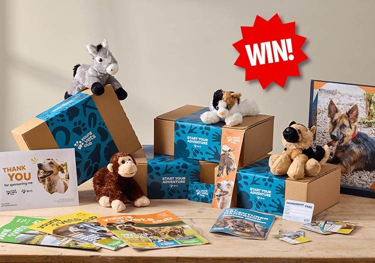 WIN a 3 year membership to the Young Vets Club!