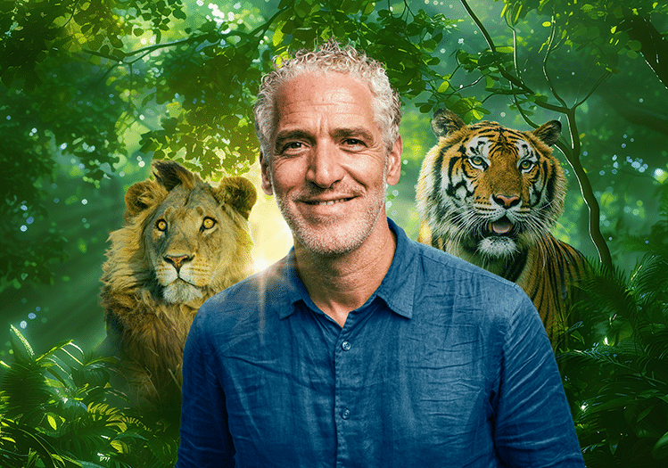 Lions and Tigers and Bears