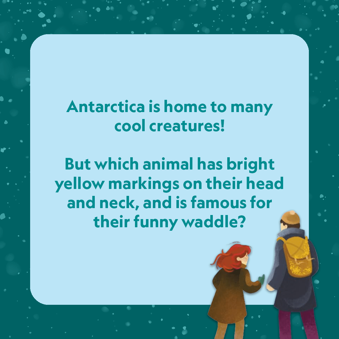 Two people look at a Maisie Vs quest sign in Antarctica that asks which animal has bright yellow markings on its head and neck and is famous for its funny waddle.
